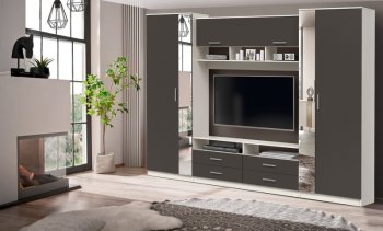 ШМЦ Вена  91.01 с зеркалом в Каргате - mebel154.com