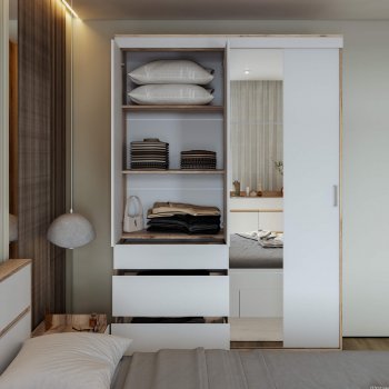 Шкаф-купе Брауни 1.5м в Каргате - mebel154.com