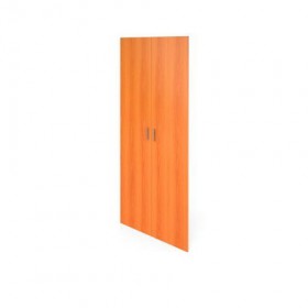 Двери В-866 (ВД-866,ВФ-866) в Каргате - mebel154.com