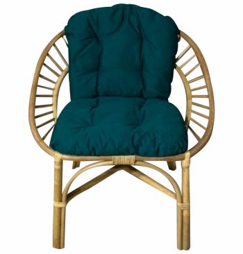Кресло RJG-Princess (Ротанг №4, ткань JPN DRILL 034) в Каргате - mebel154.com