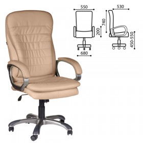 Кресло офисное BRABIX Omega EX-589 в Каргате - mebel154.com