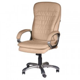 Кресло офисное BRABIX Omega EX-589 в Каргате - mebel154.com