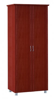 Шкаф для одежды 2-х дверный 3 Элегия в Каргате - mebel154.com