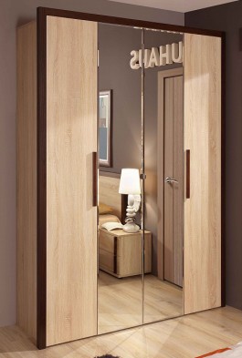 Шкаф для одежды 2-х дверный 9 Bauhaus в Каргате - mebel154.com