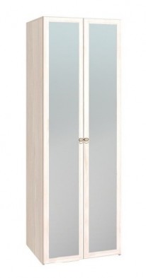 Шкаф для одежды 2-х дверный с зеркалом 54-2 Бриз в Каргате - mebel154.com