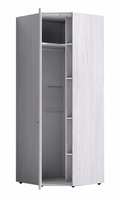 Шкаф для одежды угловой 56-2 Paola в Каргате - mebel154.com