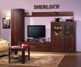 Шкаф МЦН 2 Sherlock  в Каргате - mebel154.com