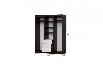 Шкаф-купе ШКП-1  1.7м в Каргате - mebel154.com